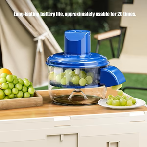 Fruit and Vegetable Peeler