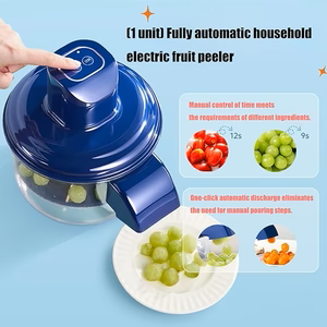 Fruit and Vegetable Peeler